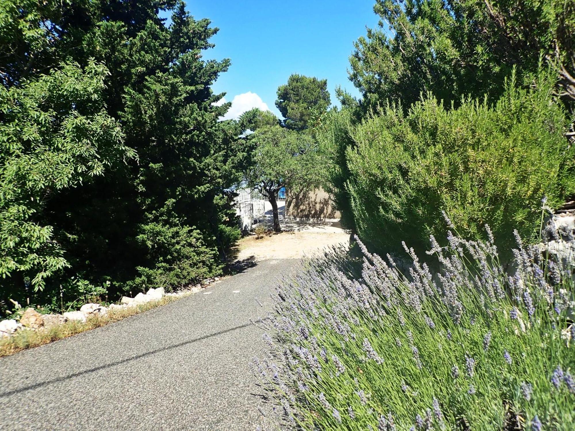 Studio Mare -30 M From A Lonely Beach Barić Draga エクステリア 写真